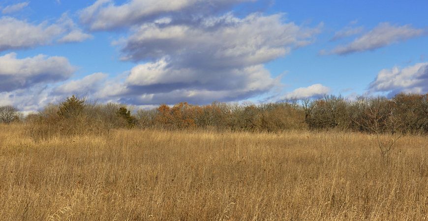 Mackenzie Center Prairie
